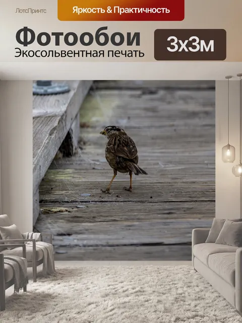 Фотообои воробей