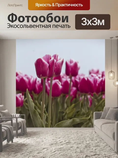 Фотообои Тюльпан