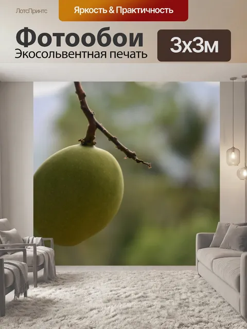 Фотообои Манго