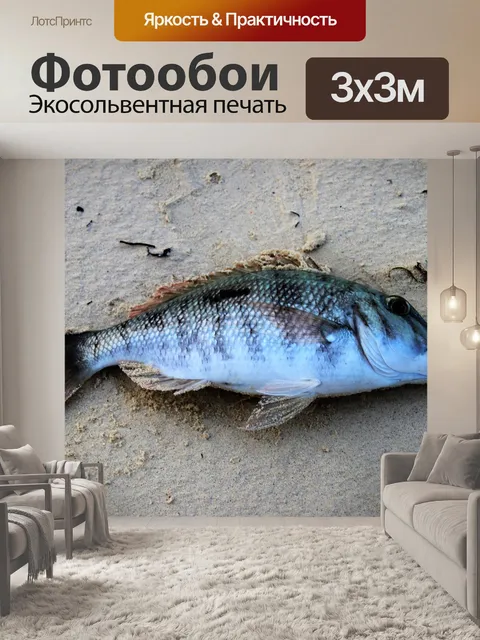 Фотообои Рыба