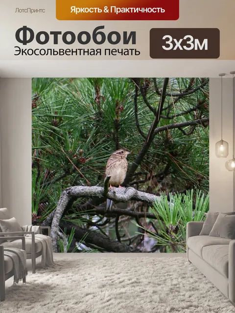 Фотообои Животное