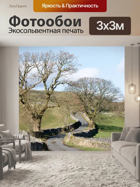Фотообои Проселочная дорога