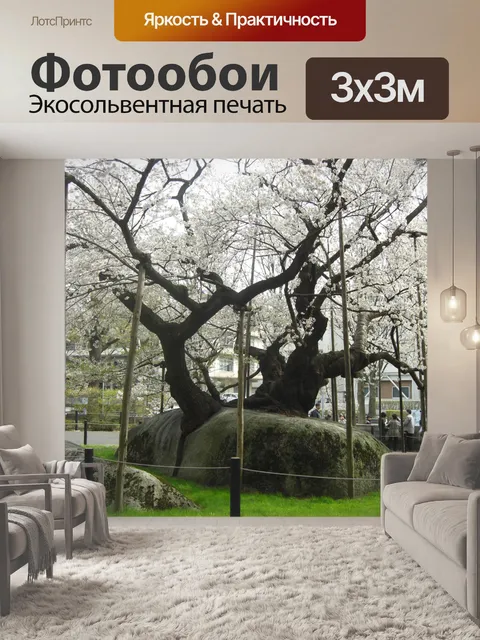Фотообои Сакура Японии