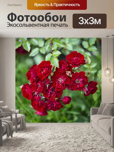 Фотообои Розы
