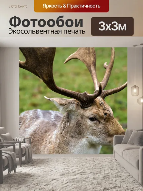 Фотообои Олень