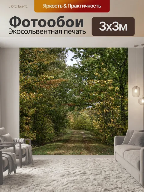 Фотообои Путь в лесу