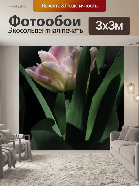 Фотообои Тюльпан