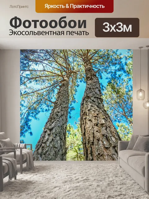 Фотообои Сосновый лес, Пан Унг, Мэй Хонг Сон
