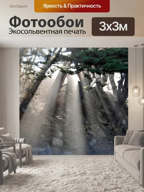Фотообои Солнечные лучи сквозь деревья