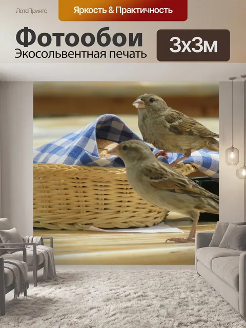 Фотообои Воробьи