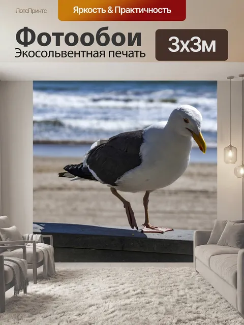 Фотообои чайка
