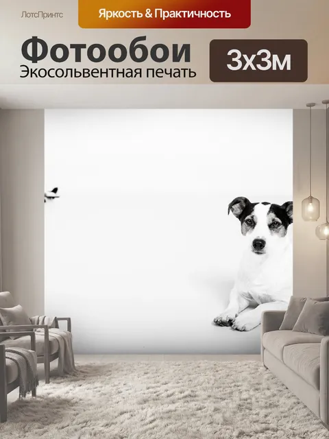 Фотообои Собака и кошка