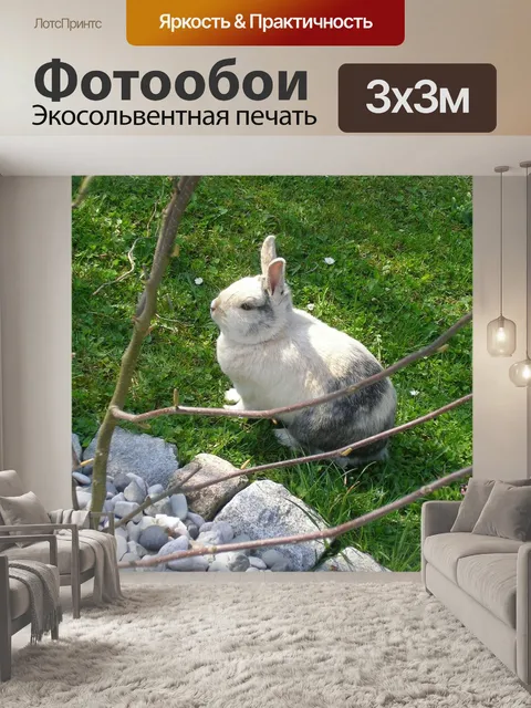 Фотообои Кролик
