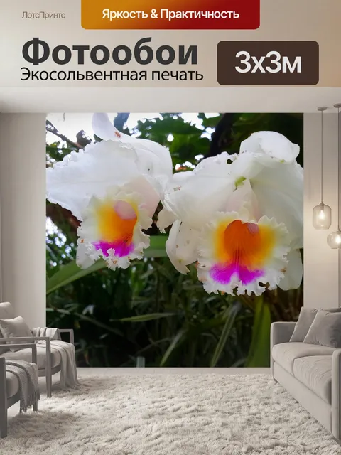 Фотообои Цветок