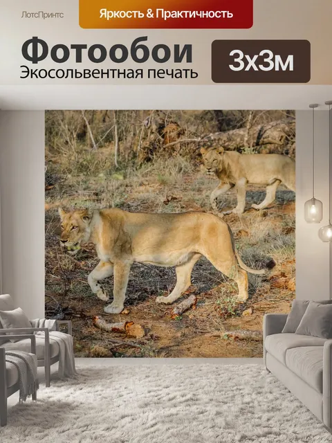 Фотообои Львы