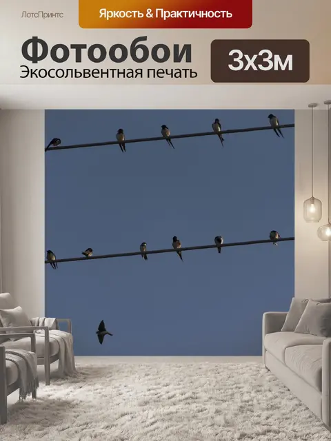 Фотообои Ласточки
