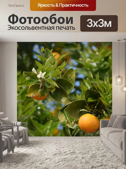 Фотообои Апельсиновые деревья