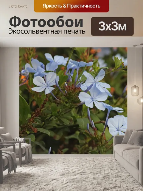 Фотообои бледно-голубые цветы и бутоны