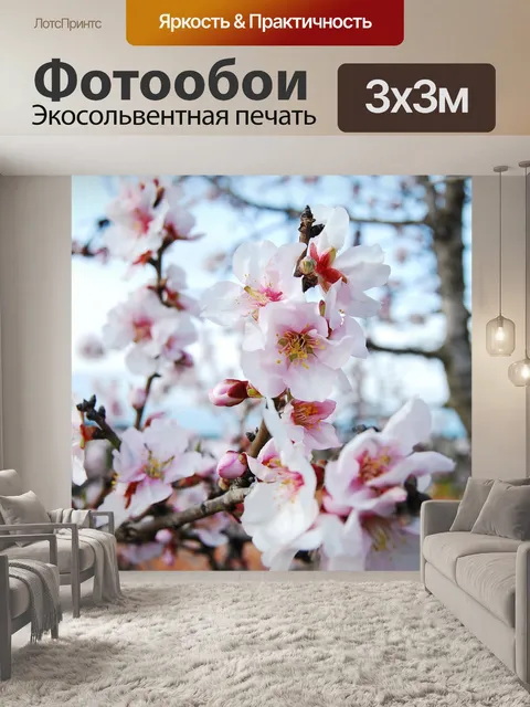 Фотообои Цветок