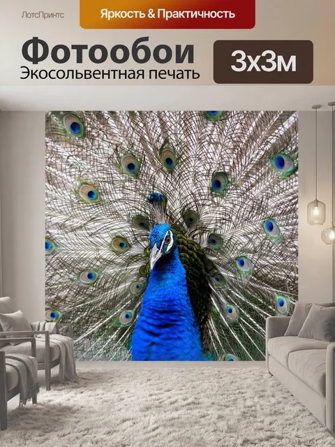 Фотообои Павлин