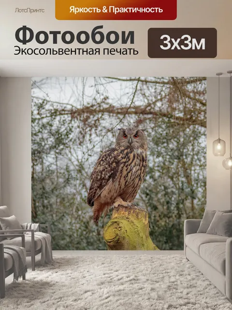 Фотообои Евразийский филин