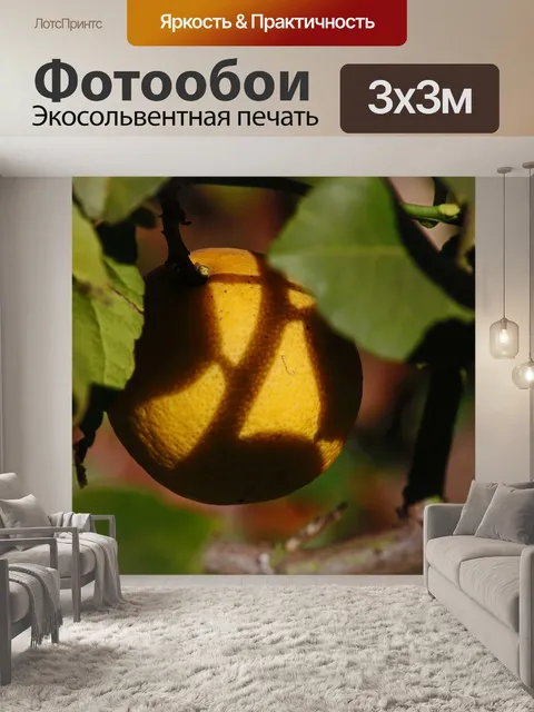 Фотообои солнце и тень на текстурированном лимоне