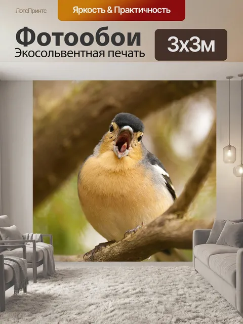 Фотообои Птица