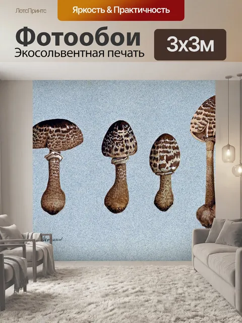 Фотообои Винтажная иллюстрация чемпиона грибов