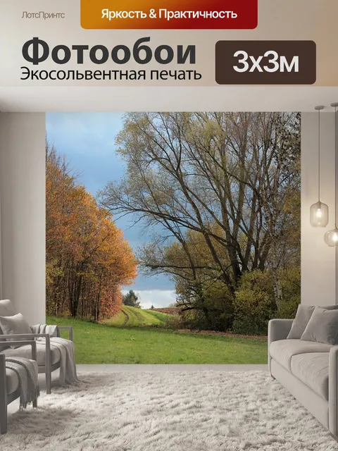 Фотообои Лес