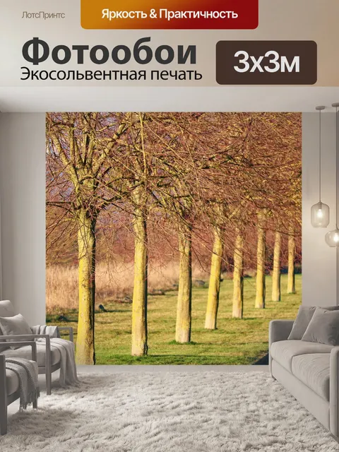 Фотообои Проспект