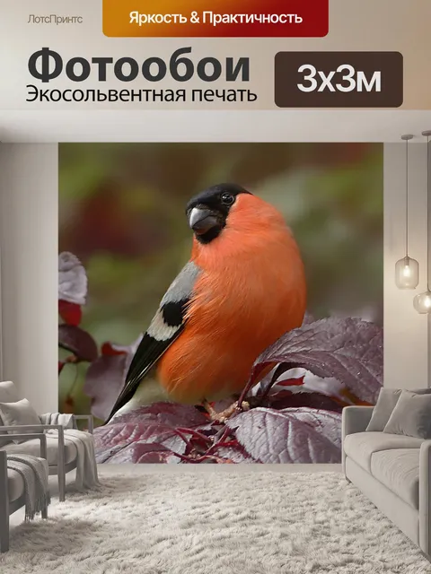 Фотообои Животное