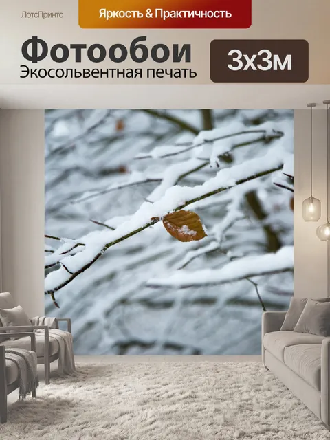 Фотообои Снежный филиал