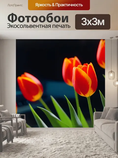 Фотообои тюльпаны в атмосфере музыки