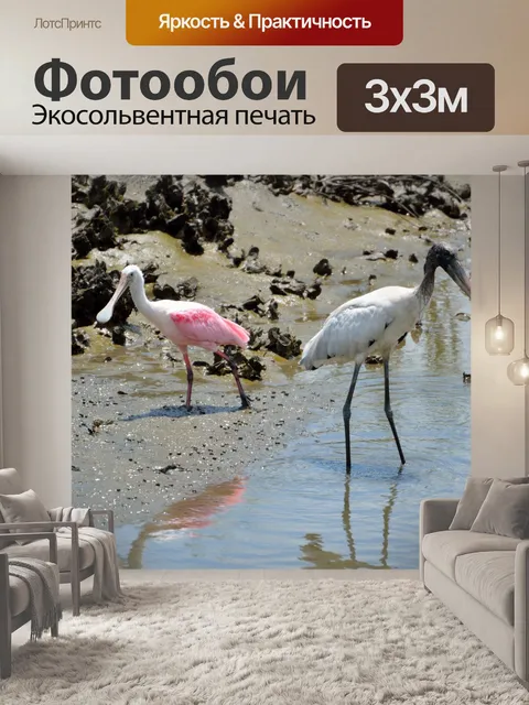 Фотообои Дерево Аист и Колпица