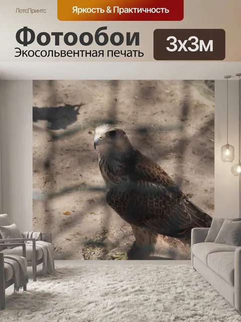 Фотообои Птицы