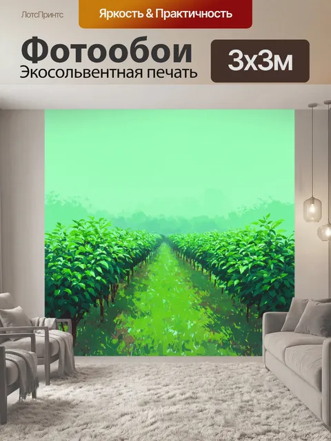Фотообои мятный цвет, изображающие чайный сад в утреннем тумане
