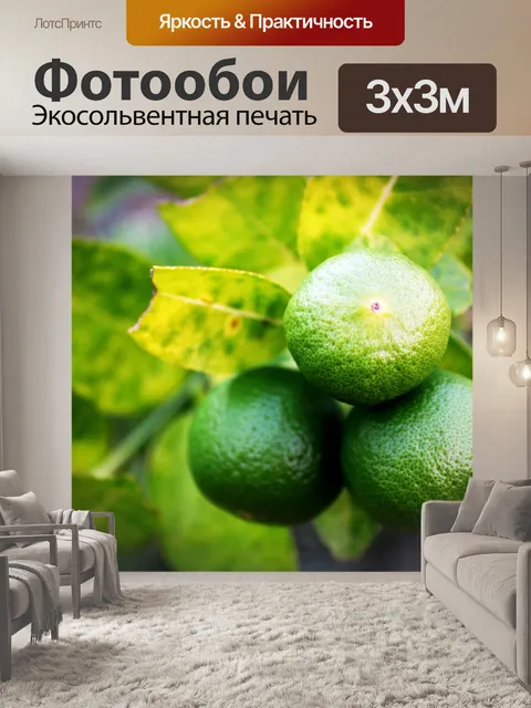 Фотообои Свежие лаймы на липе