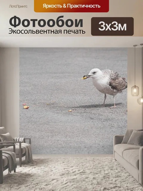 Фотообои Птица