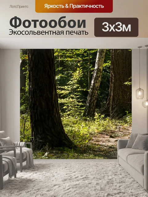 Фотообои Лес