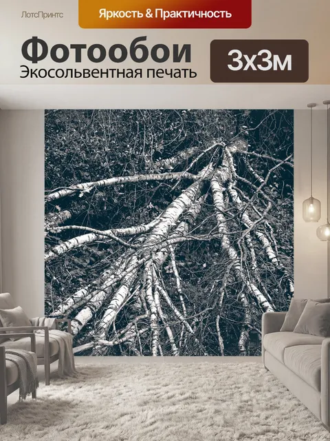 Фотообои Лес