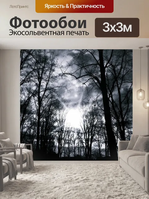 Фотообои Деревья