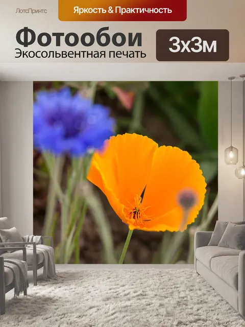 Фотообои Мак