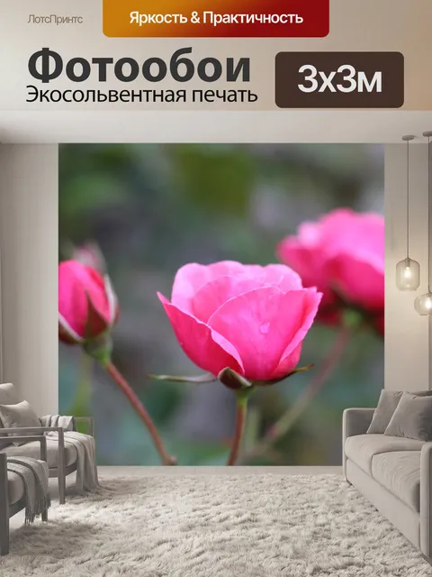 Фотообои Розы