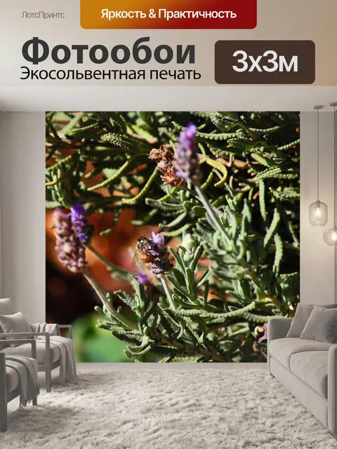Фотообои медоносная пчела собирает пыльцу