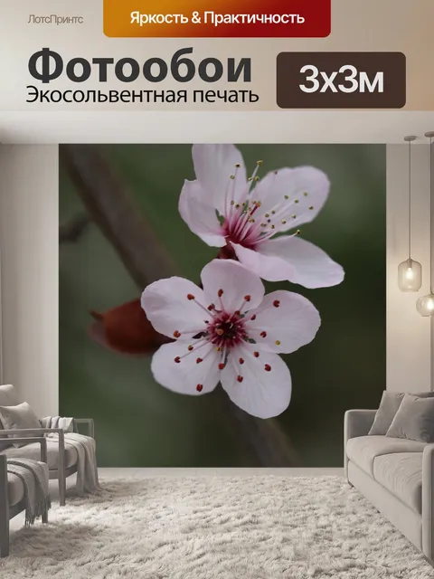 Фотообои Цветы