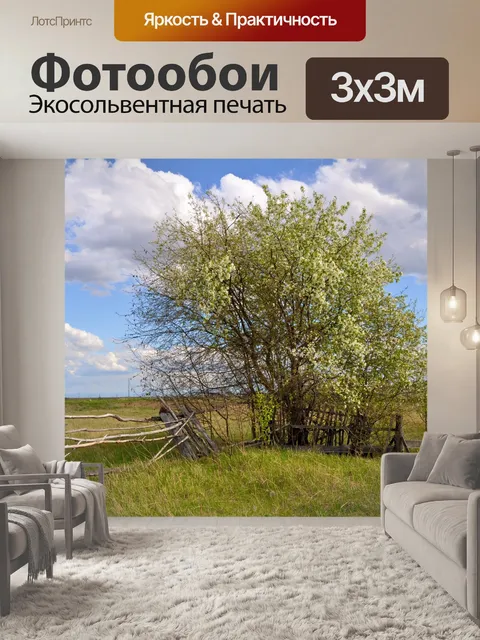 Фотообои Старый забор