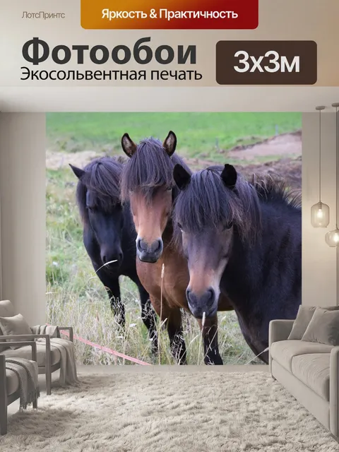 Фотообои Лошади