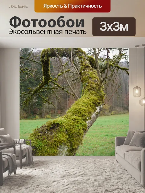 Фотообои Мох