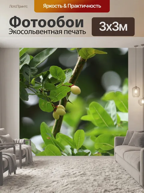Фотообои Дерево