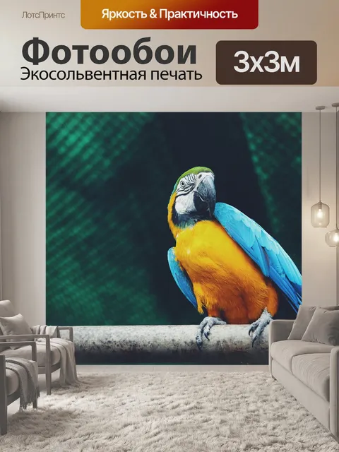 Фотообои Попугай
